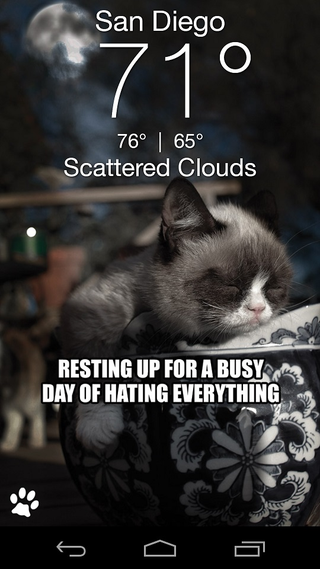 Illustration for article titled The Grumpy Cat Weather App Won't Sugar Coat Things For You